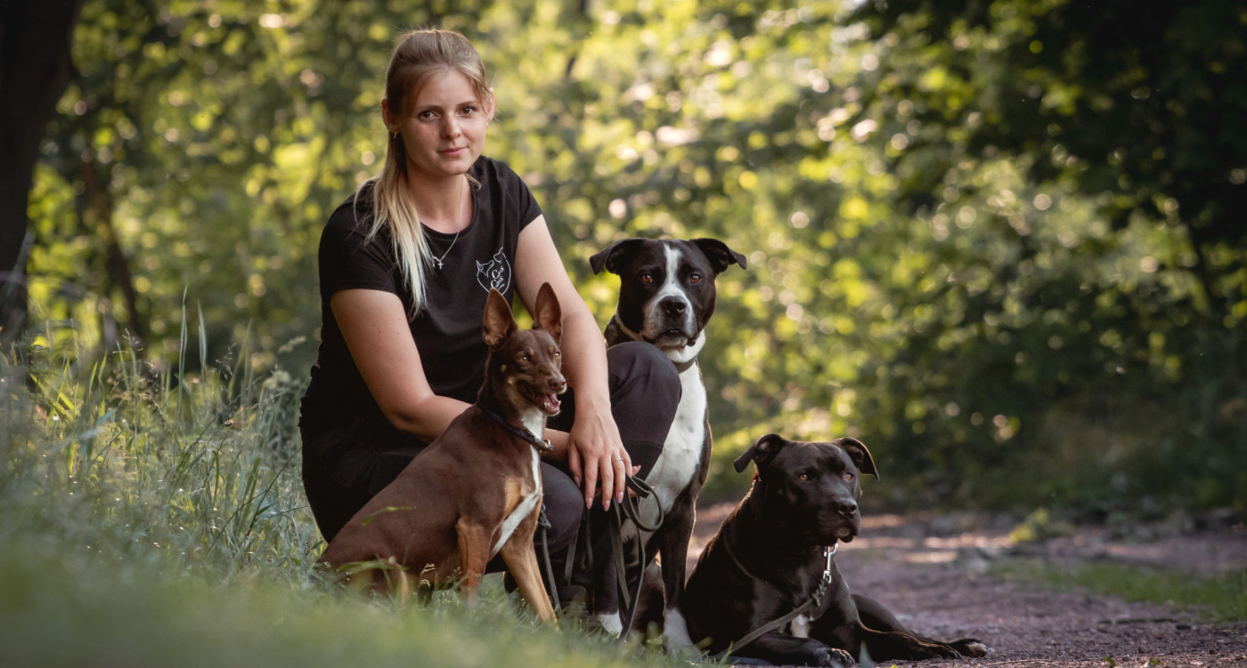 Kostenfrei für Bedürftige: Für diesen Sonntag laden die Gifhorner Tiertafel und die Hundeschule Casus Canis zum Workshop ein