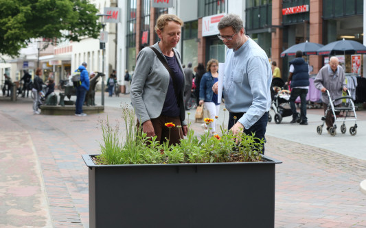 Kritik an Pflanzkübeln – Stadt will nachjustieren: Die Verwaltung plant noch weitere Veränderungen in der Gifhorner Innenstadt