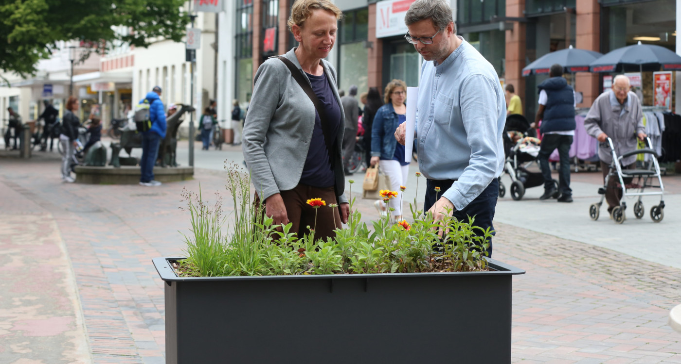 Kritik an Pflanzkübeln – Stadt will nachjustieren: Die Verwaltung plant noch weitere Veränderungen in der Gifhorner Innenstadt