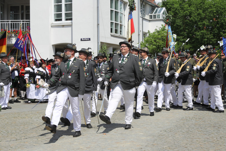 KURT-Bildergalerie: So bunt war Gifhorns großer Umzug mit vielen Vereinen am Schützenfest-Sonntag
