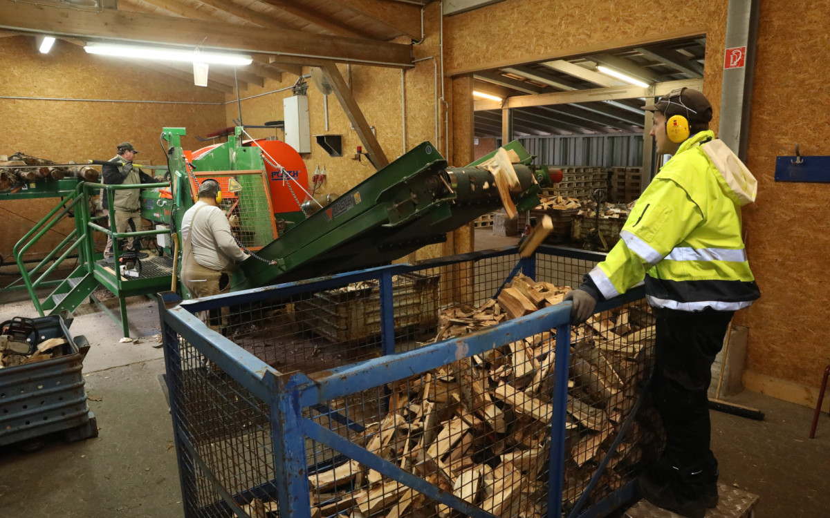 Kuschlige Winterwochen durch Top-Kaminholz: Die Lebenshilfe Gifhorn versorgt die Region mit Birken- und Buchenscheiten