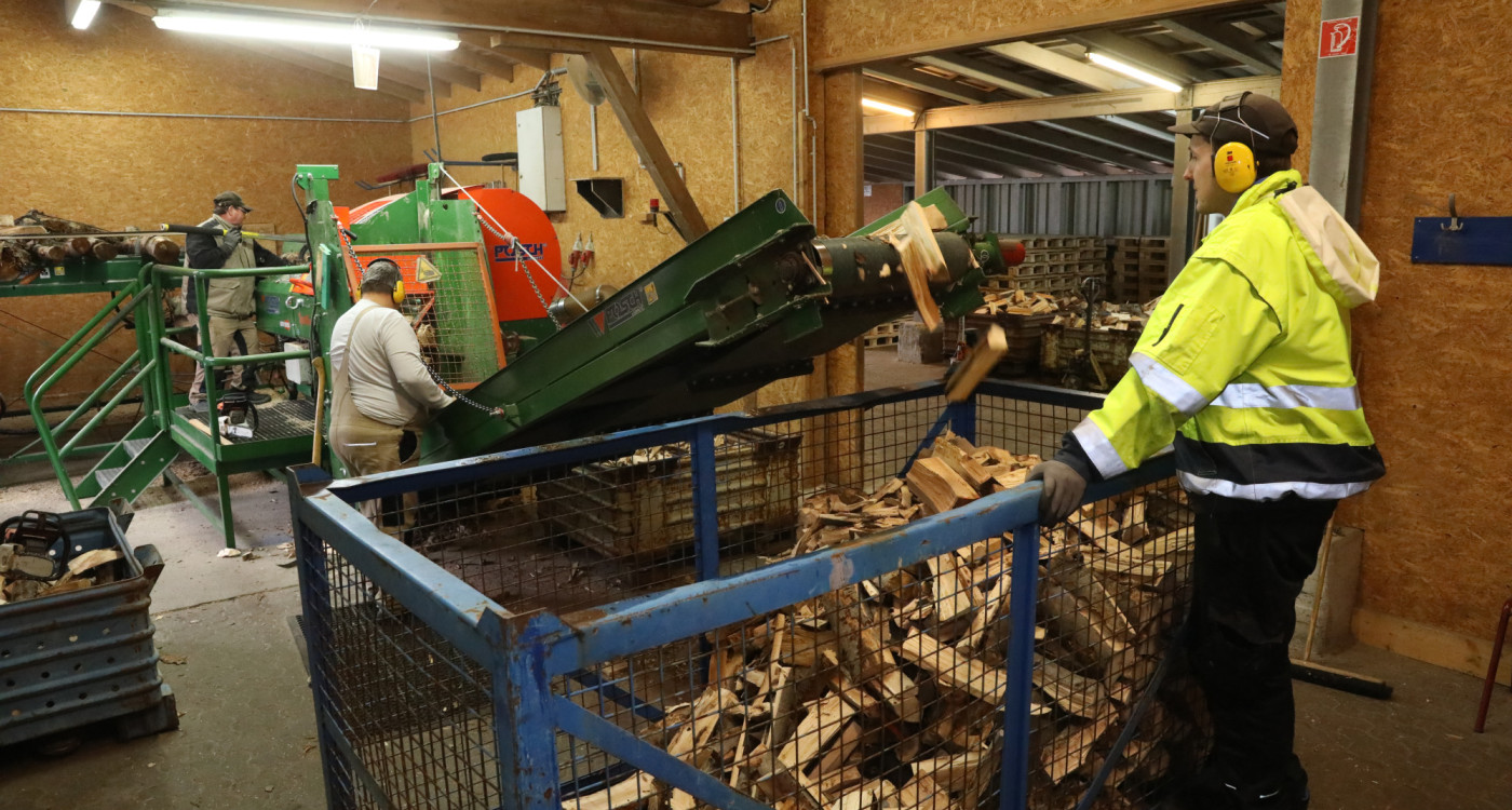 Kuschlige Winterwochen durch Top-Kaminholz: Die Lebenshilfe Gifhorn versorgt die Region mit Birken- und Buchenscheiten