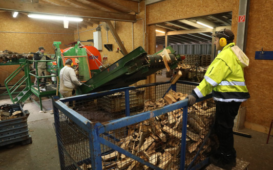 Kuschlige Winterwochen durch Top-Kaminholz: Die Lebenshilfe Gifhorn versorgt die Region mit Birken- und Buchenscheiten