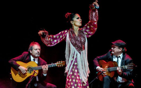 Leidenschaftlicher Tanz in der Stadthalle Gifhorn: KURT verlost 2 Tickets für die Show 