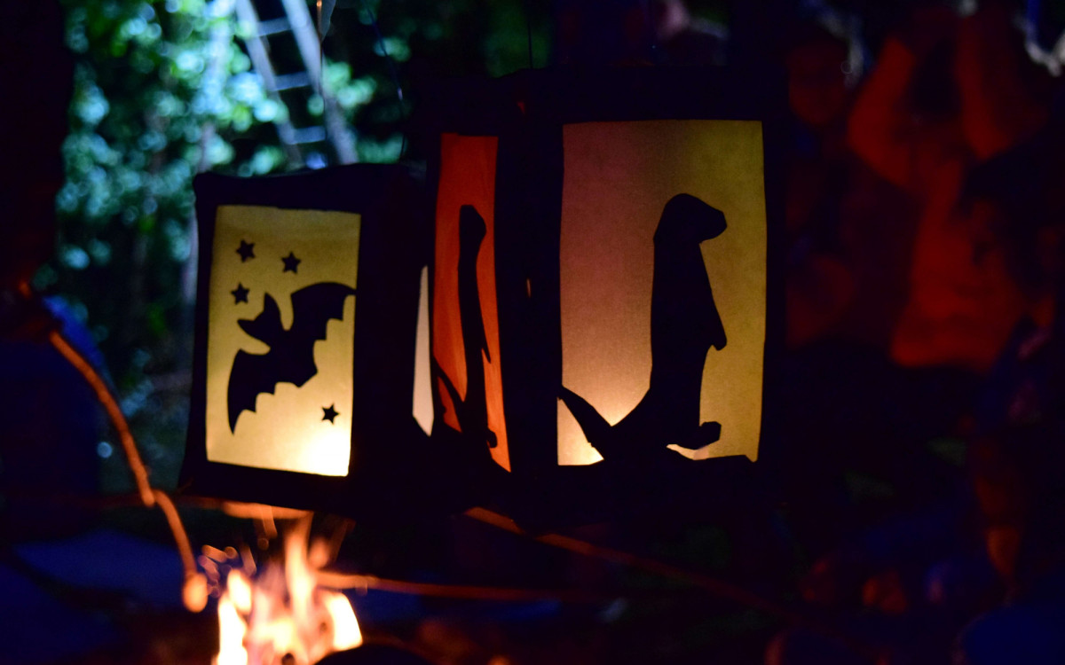 Lichterwelten bei Otter, Dachs & Co – Stimmungsvoller September im Otter-Zentrum