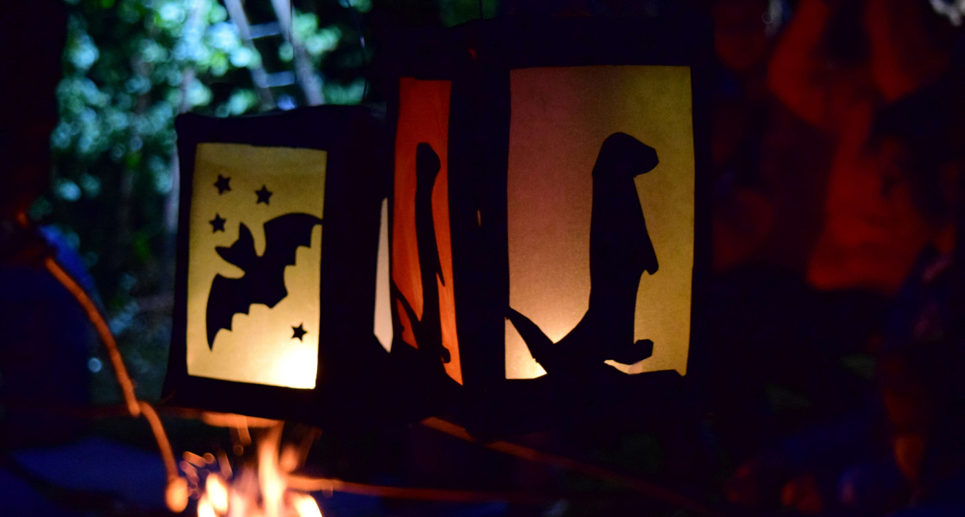 Lichterwelten bei Otter, Dachs & Co – Stimmungsvoller September im Otter-Zentrum