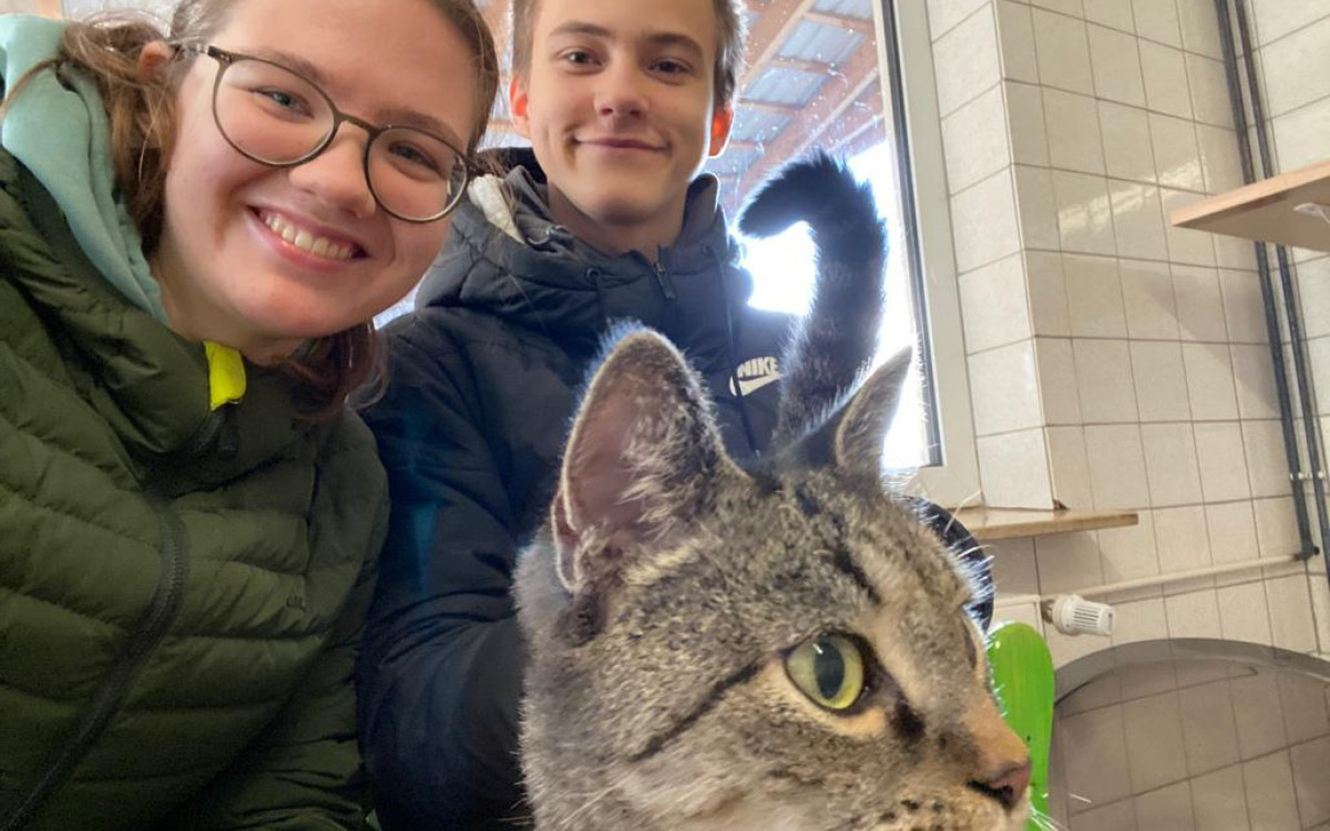 Lieber adoptieren statt ignorieren: KURTs Praktikanten verbringen einen Tag hinter den Kulissen im Tierheim Ribbesbüttel