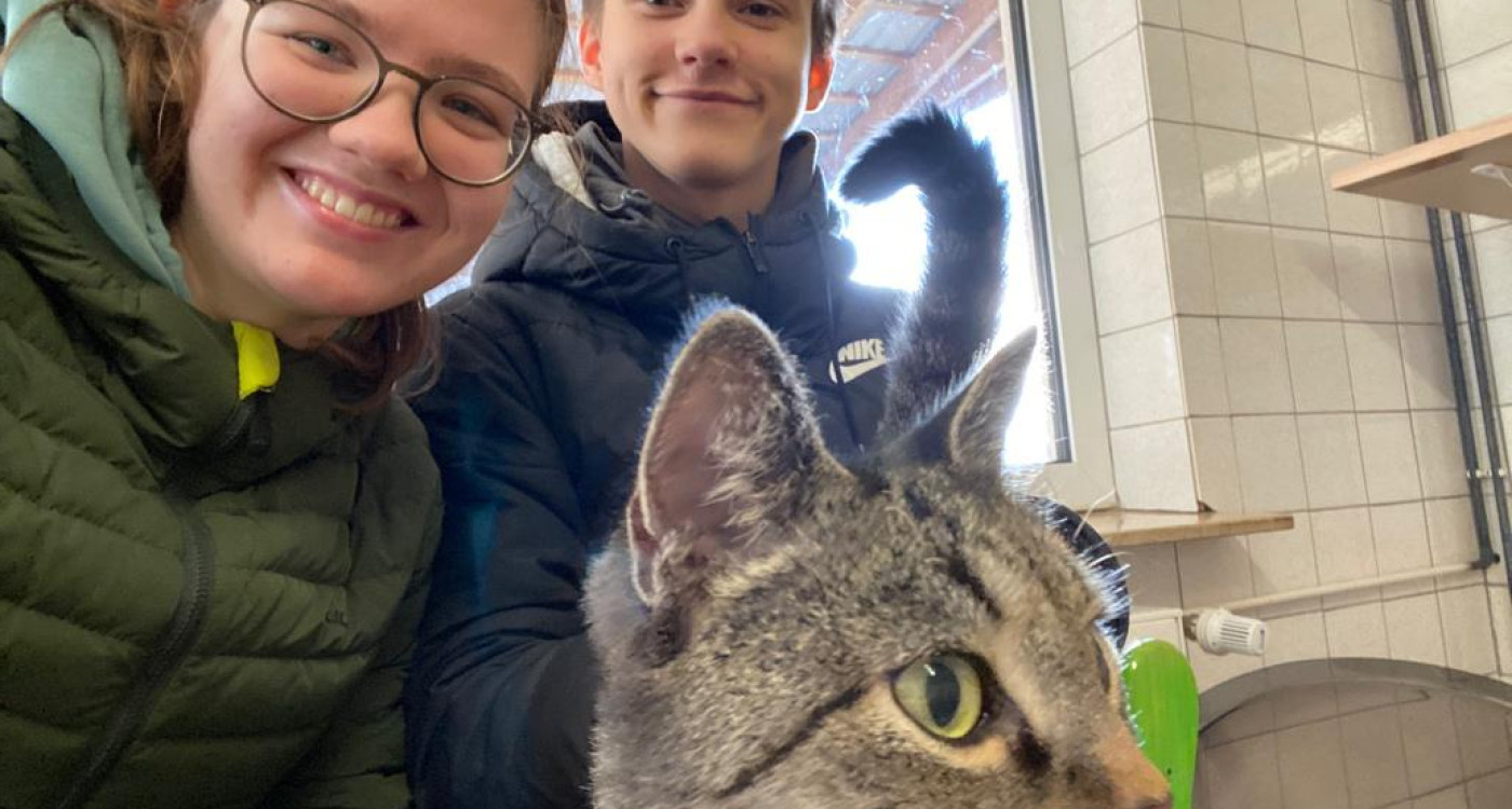 Lieber adoptieren statt ignorieren: KURTs Praktikanten verbringen einen Tag hinter den Kulissen im Tierheim Ribbesbüttel