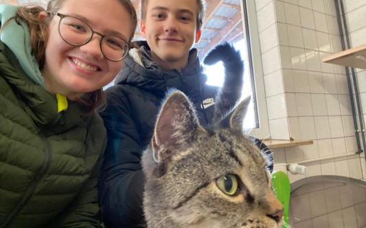 Lieber adoptieren statt ignorieren: KURTs Praktikanten verbringen einen Tag hinter den Kulissen im Tierheim Ribbesbüttel