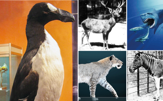 Mammut, komm zurück: 7 Tierarten, die wir zum Leben erwecken sollten - Auch unser Landkreis könnte davon profitieren