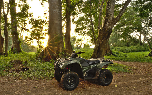 Möchtegern-Schumis veranstalten illegales Quad-Rennen im Wald bei Wagenhoff - Polizei sucht Zeugen