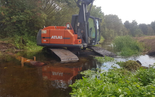 Naturschutzmaßnahmen an der Ise: Aktion Fischotterschutz schafft Lebensräume