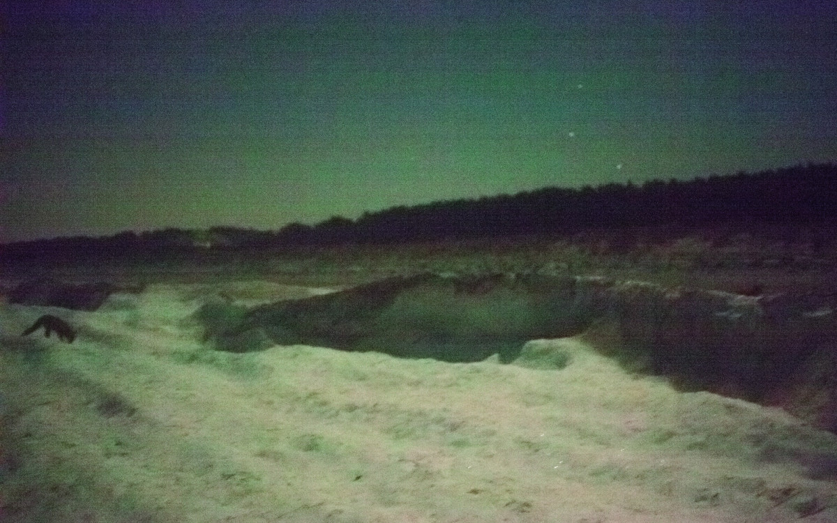 Nicht alles, was düster ist, muss dunkel sein - Gifhorns Fotografen Jonas Völpel und Tina Kernchen stellen auf der Foto Wien aus