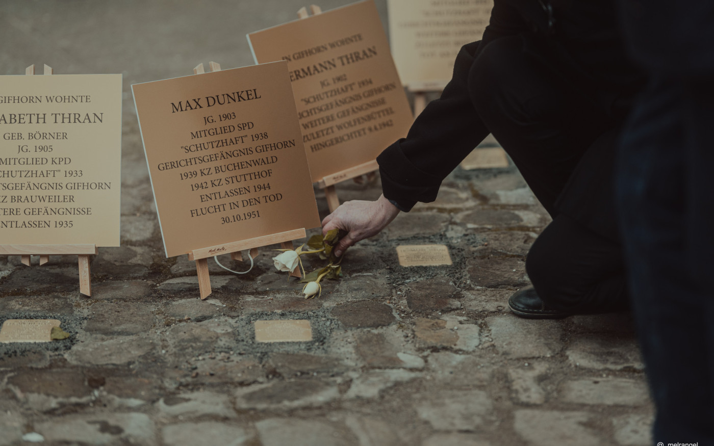 Nie wieder ist immer genau jetzt – Gedanken zur aktuellen Verlegung neuer Stolpersteine in Gifhorn und Kästorf