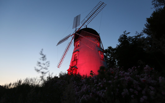 Night of Light - Mehrere Gebäude in Gifhorn erstrahlen im roten Licht