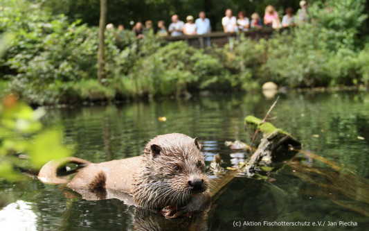 Otter-Zentrum Hankensbüttel wird erneut ausgezeichnet - Urkunde für den Erhalt der biologischen Vielfalt
