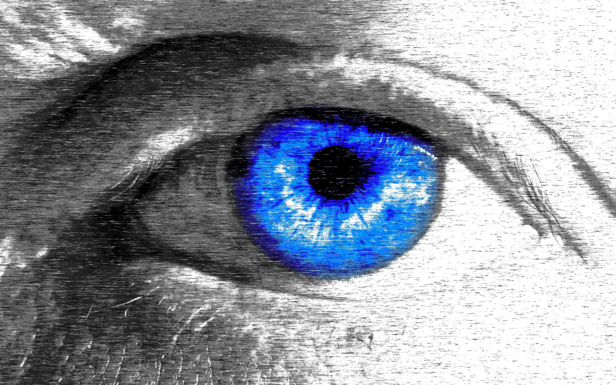 Photo-Werkstatt wagt Blick ins Blaue: Ausstellung startet am 25. April im Gifhorner Kavalierhaus