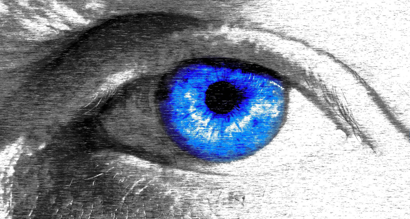 Photo-Werkstatt wagt Blick ins Blaue: Ausstellung startet am 25. April im Gifhorner Kavalierhaus