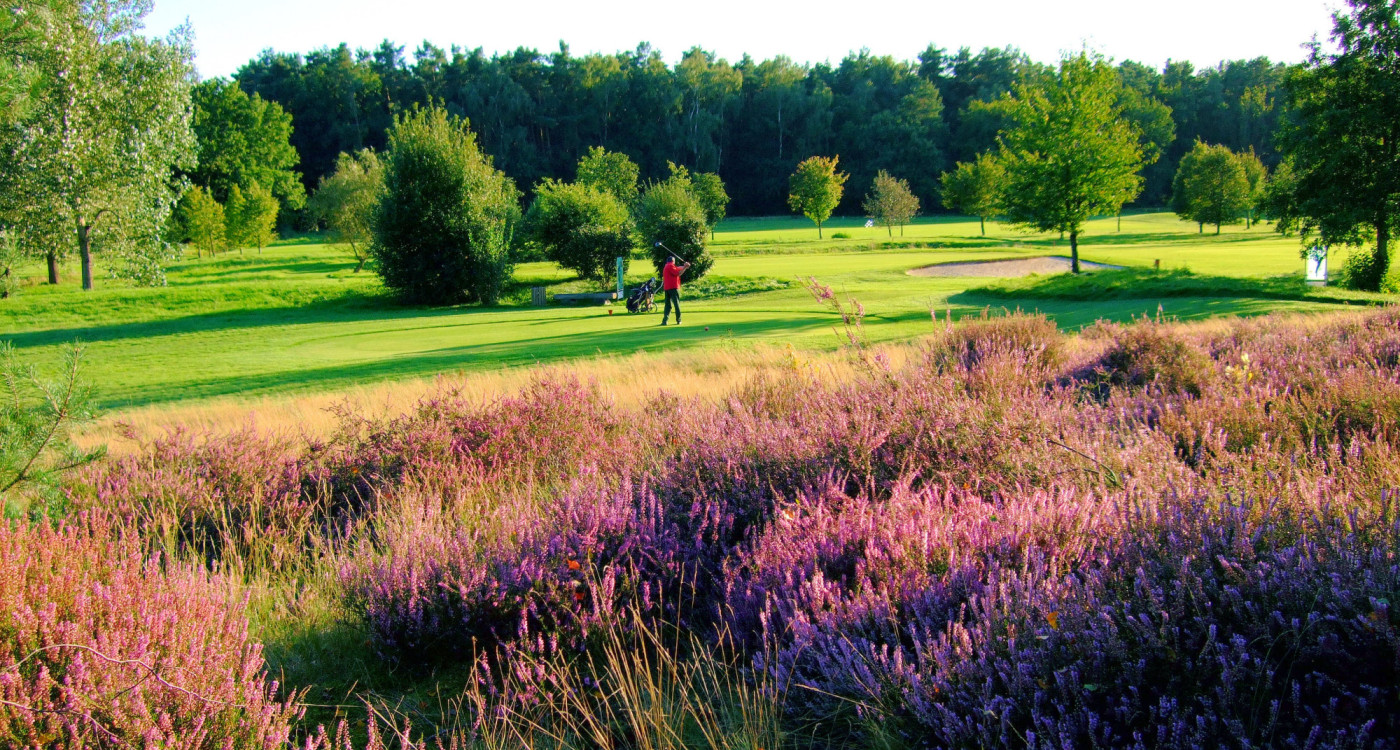 Probeschläge mit Pro Matthias Kleine, Live-Musik und Kinderrallye: Am Sonntag, 2. Juni, findet der Tag der offenen Tür des Golfclubs Gifhorn statt