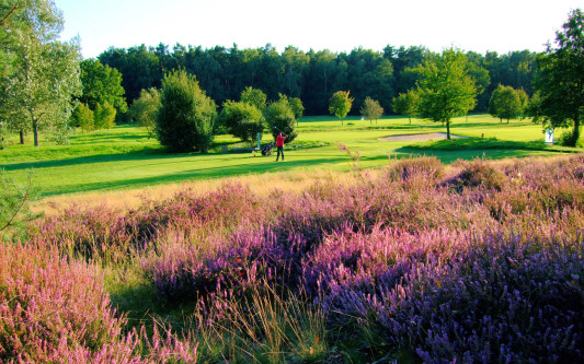 Probeschläge mit Pro Matthias Kleine, Live-Musik und Kinderrallye: Am Sonntag, 2. Juni, findet der Tag der offenen Tür des Golfclubs Gifhorn statt