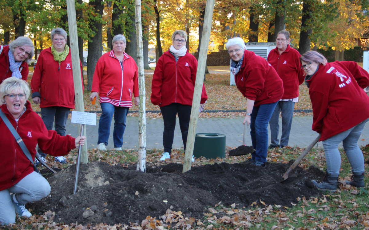 Reichlich Sekt lässt die junge Birke wachsen - Jahr für Jahr nehmen sie das Grün, jetzt geben die USK-Damen es der Natur zurück