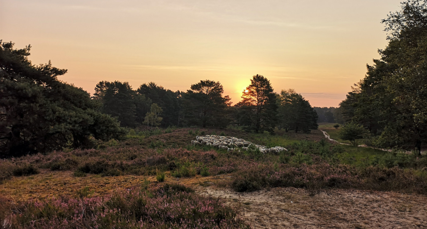 Reisebloggerinnen entdecken die Region - Drei Travel-Blogs zeigen unser Gifhorn aus der Perspektive von Urlaubsreisenden