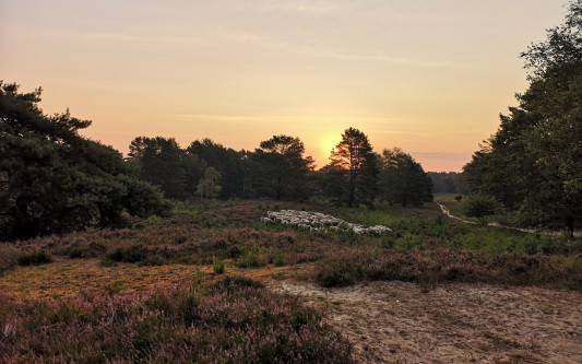 Reisebloggerinnen entdecken die Region - Drei Travel-Blogs zeigen unser Gifhorn aus der Perspektive von Urlaubsreisenden