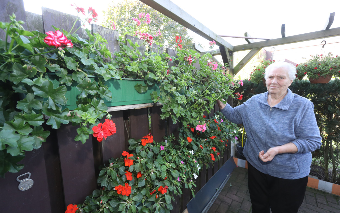 Rote Blumen sind ihr am liebsten - Anna März zieht mit ihrer Terrasse in das Finale des Gifhorner Balkon-Wettbewerbs ein