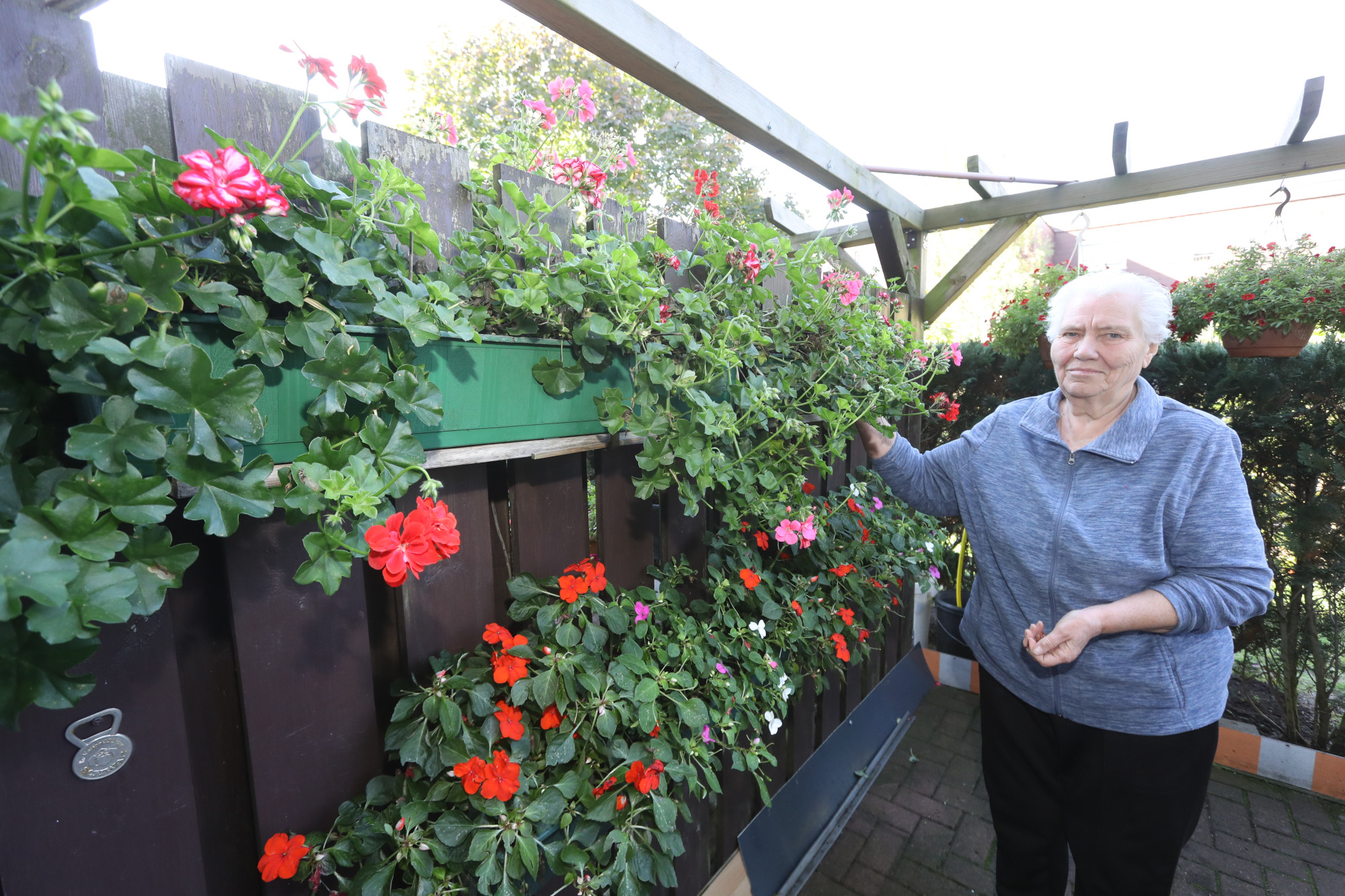 Blumen Balkon Marz