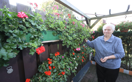 Rote Blumen sind ihr am liebsten - Anna März zieht mit ihrer Terrasse in das Finale des Gifhorner Balkon-Wettbewerbs ein