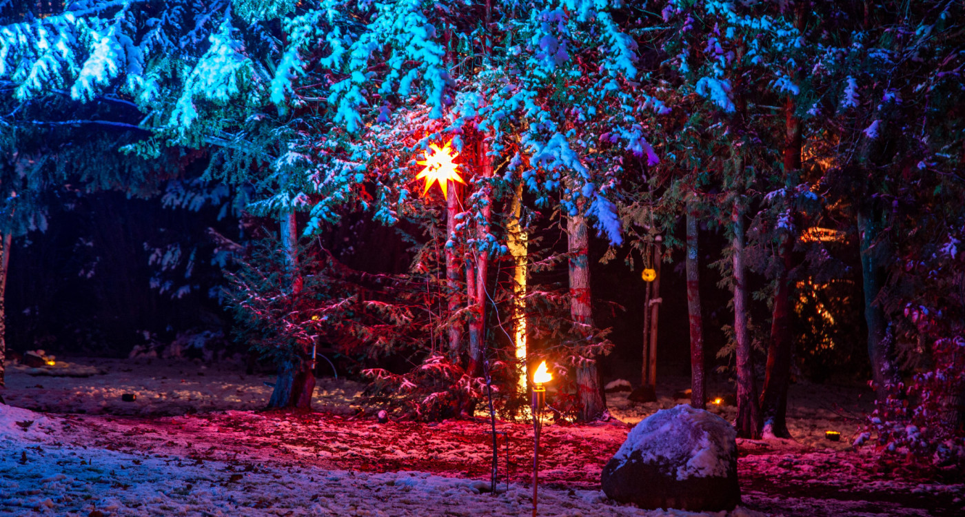 Ruhewald strahlt im Glanz des Lebens: Lichterabend am 28. November soll Hinterbliebene und Gäste zusammenbringen