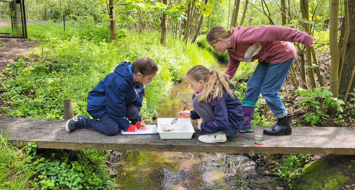 Schon im Frühling geht's los: Aufregende Ferienaktionen im Otter-Zentrum in Hankensbüttel