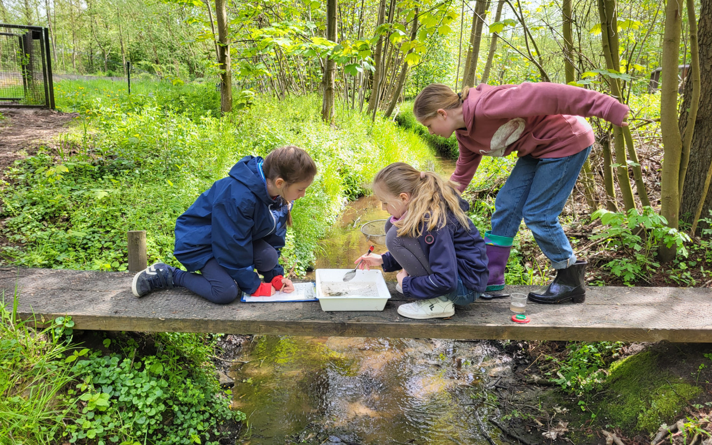 Schon im Frühling geht's los: Aufregende Ferienaktionen im Otter-Zentrum in Hankensbüttel