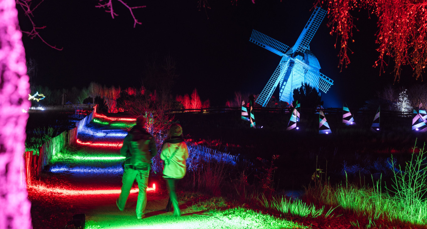 So eindrucksvoll erstrahlt das Mühlenmuseum vom 30. Januar bis 8. März: Jetzt Tickets sichern für die Brawo-Mühlenlichter