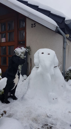 So genießt Gifhorn den Winter - KURT zeigt Eure schönsten Schneemenschen