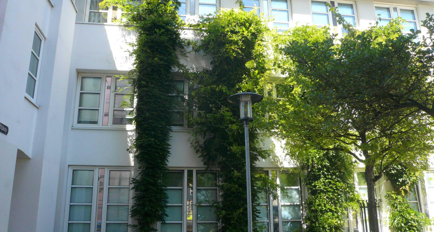 So kann Gifhorn klimarobust werden: Umfrage zum Gifhorner Klimaanpassungs-Konzept läuft noch bis 31. August