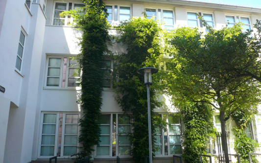 So kann Gifhorn klimarobust werden: Umfrage zum Gifhorner Klimaanpassungs-Konzept läuft noch bis 31. August