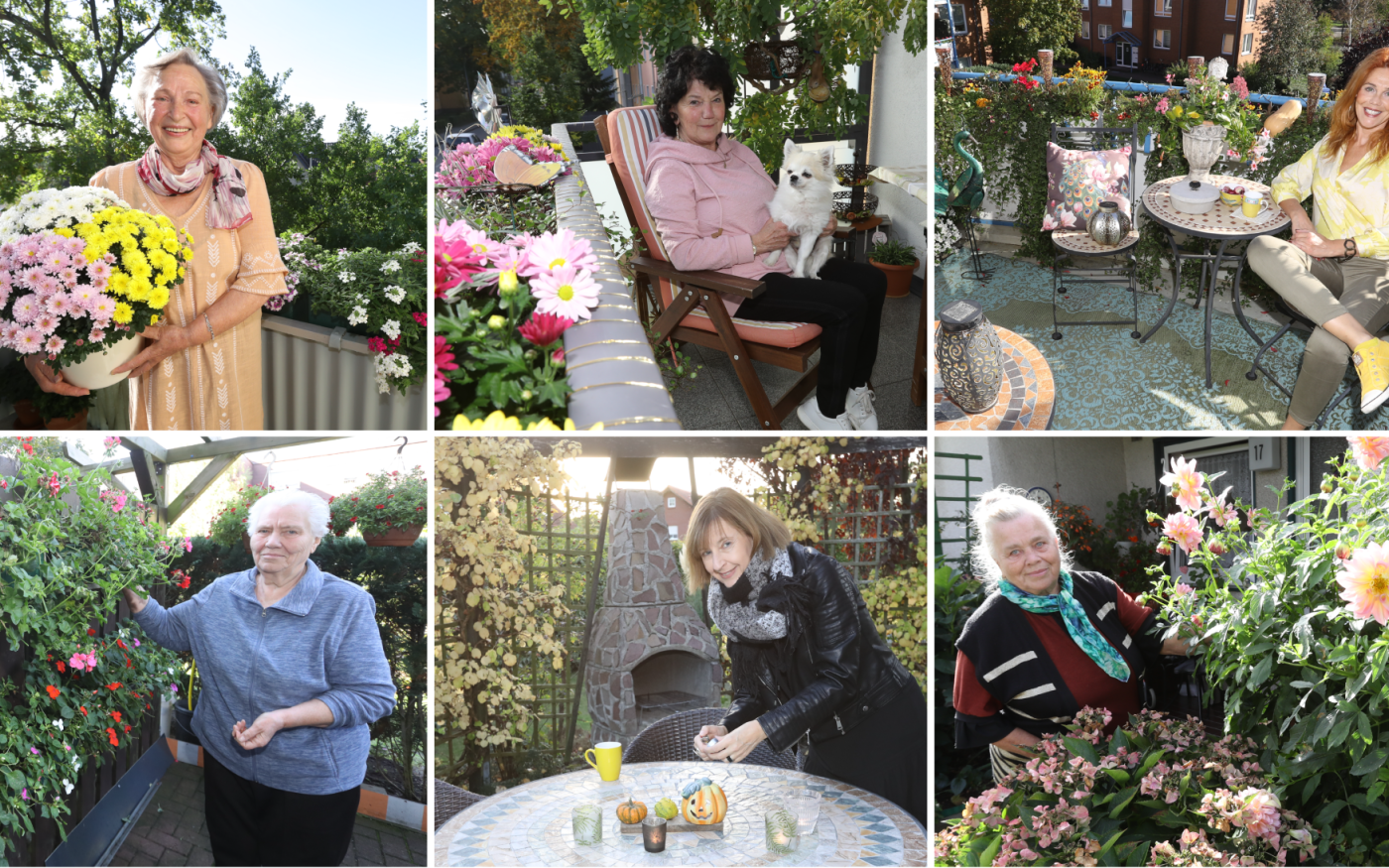 Wir wollen Eure Stimme! Heute startet das Online-Voting für den 3. Gifhorner Balkon-Wettbewerb