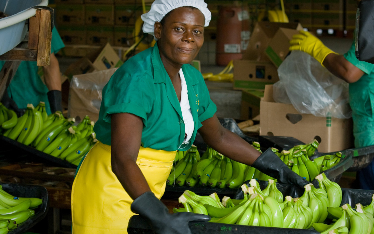 So viel Fairtrade steckt schon in Gifhorn: KURT blickt hinter die Kulissen des fairen Handels und räumt mit einem Mythos auf