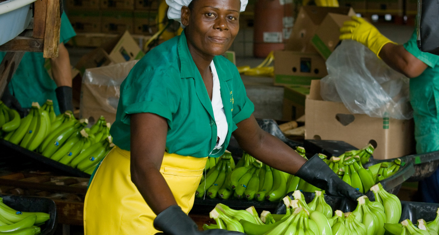 So viel Fairtrade steckt schon in Gifhorn: KURT blickt hinter die Kulissen des fairen Handels und räumt mit einem Mythos auf