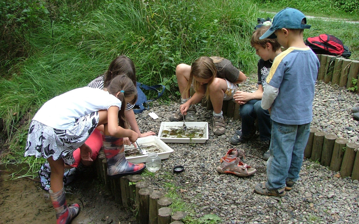 Sommerferien mit Otter, Dachs & Co - Das Otter-Zentrum Hankensbüttel bietet Kindern Zusatzangebote