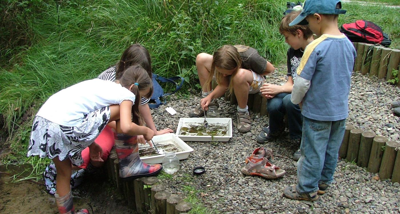 Sommerferien mit Otter, Dachs & Co - Das Otter-Zentrum Hankensbüttel bietet Kindern Zusatzangebote