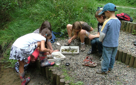 Sommerferien mit Otter, Dachs & Co - Das Otter-Zentrum Hankensbüttel bietet Kindern Zusatzangebote