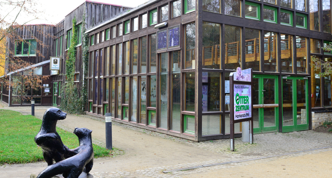 Spannende Geotour zu regionalen Schätzen: Die Tourismusgesellschaft Südheide Gifhorn empfiehlt Geocaching im Landkreis