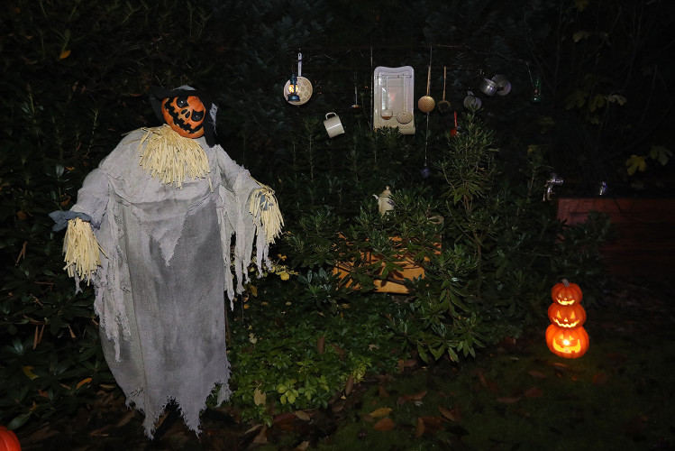 Spinnenweben, Zombies und Hexenkunst: KURT zeigt Euch, wo sich an Halloween im Landkreis Gifhorn gegruselt wurde