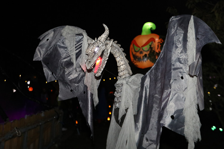 Spinnenweben, Zombies und Hexenkunst: KURT zeigt Euch, wo sich an Halloween im Landkreis Gifhorn gegruselt wurde