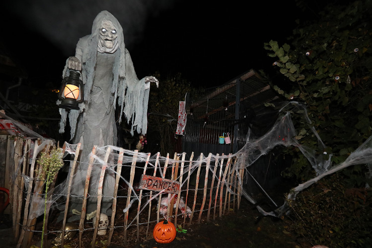 Spinnenweben, Zombies und Hexenkunst: KURT zeigt Euch, wo sich an Halloween im Landkreis Gifhorn gegruselt wurde