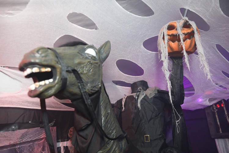 Spinnenweben, Zombies und Hexenkunst: KURT zeigt Euch, wo sich an Halloween im Landkreis Gifhorn gegruselt wurde