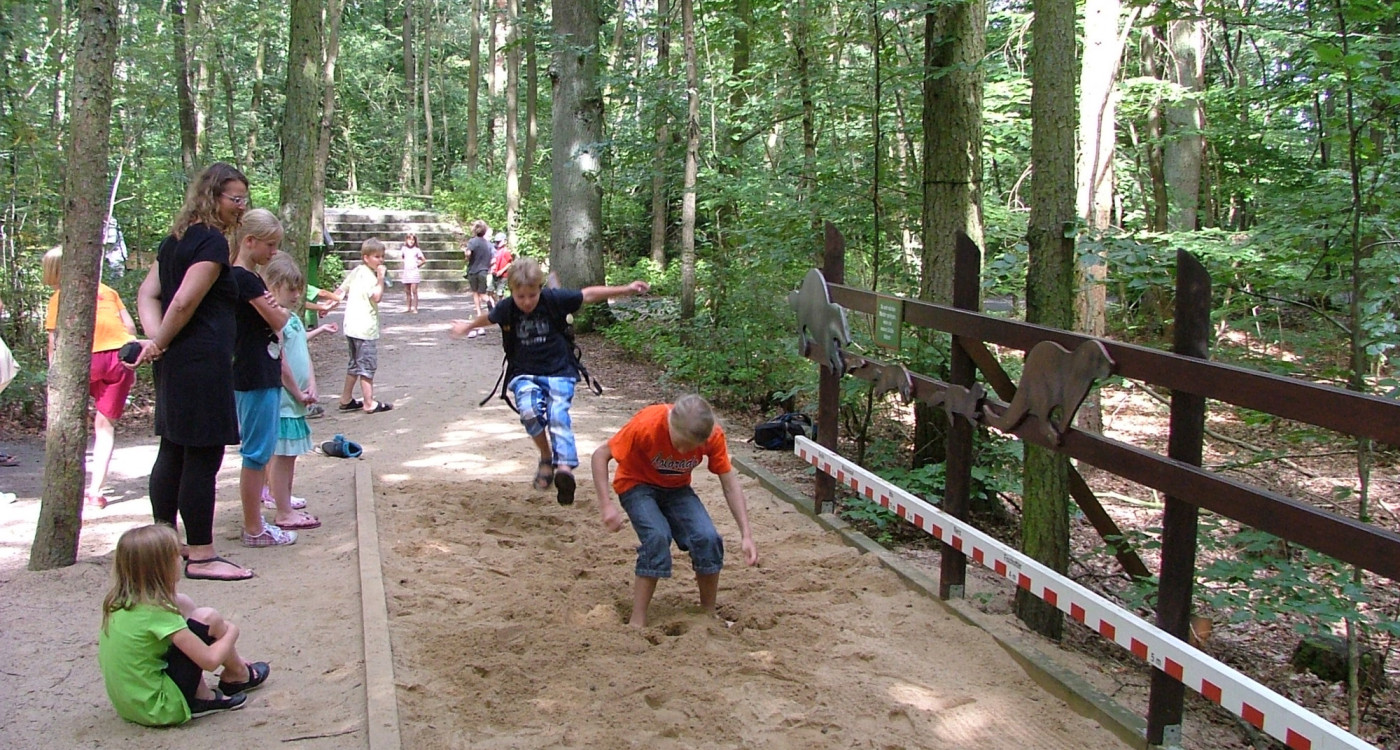 Sportliche Ferienaktion Marder-Olympiade - Wer ist so fit wie die Marder im Otter-Zentrum in Hankensbüttel?