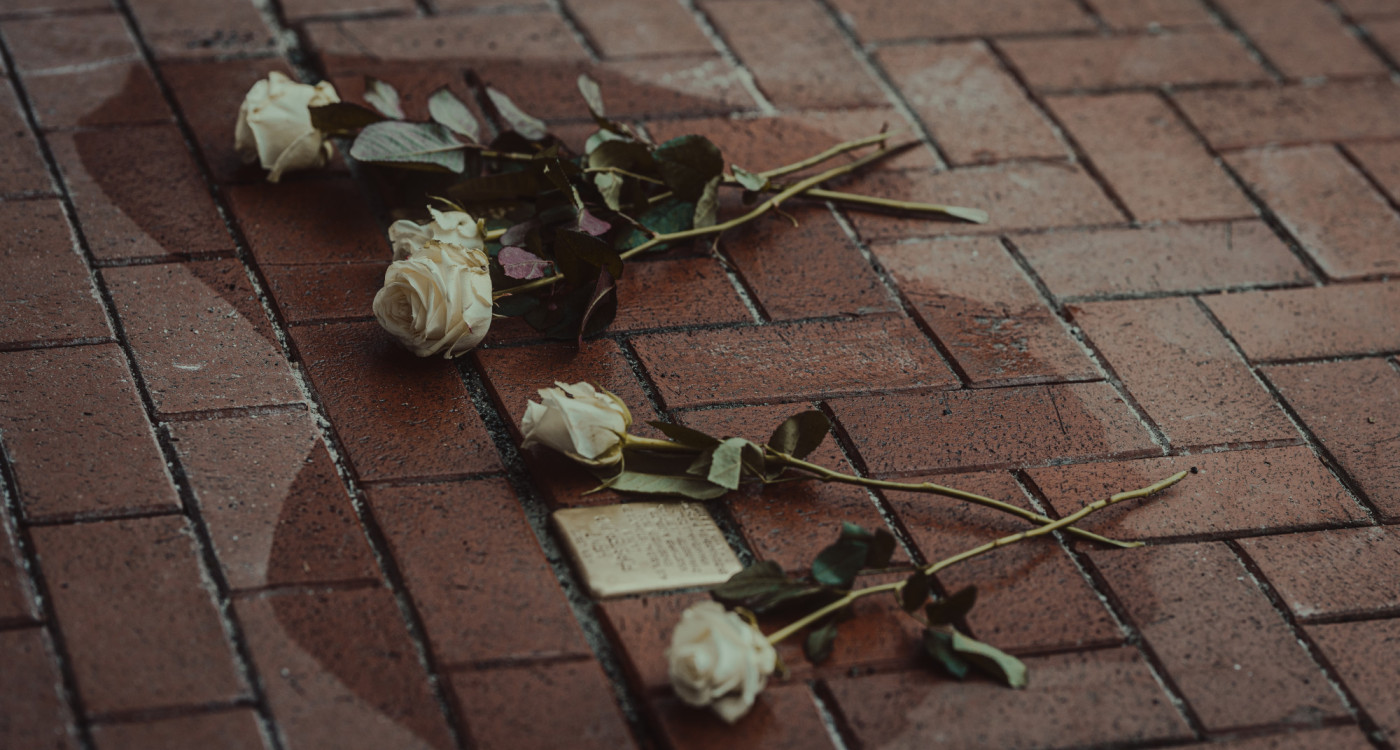 Stolpersteine in Gifhorn: Kostenfreie Lektüre über das Projekt und die Opfer des Nationalsozialismus